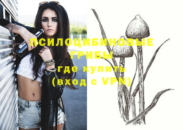 дмт Ессентукская