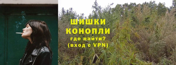 дмт Ессентукская