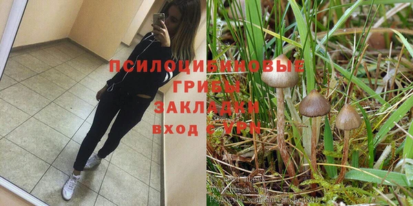 твердый Санкт-Петербург