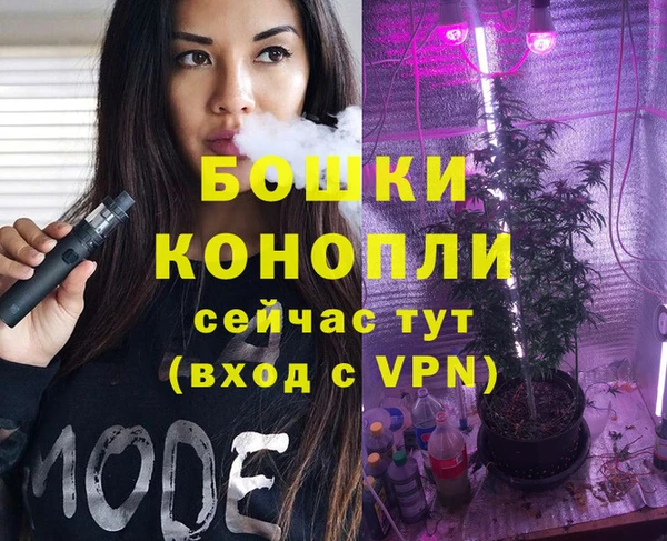 дмт Ессентукская