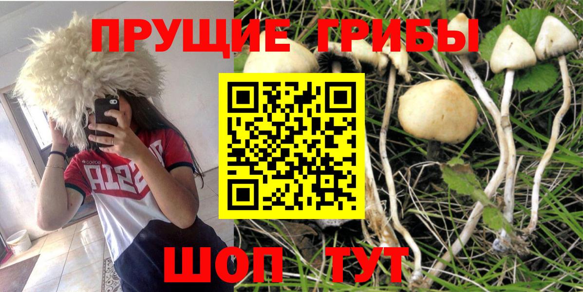 Галлюциногенные грибы Magic Shrooms Россия