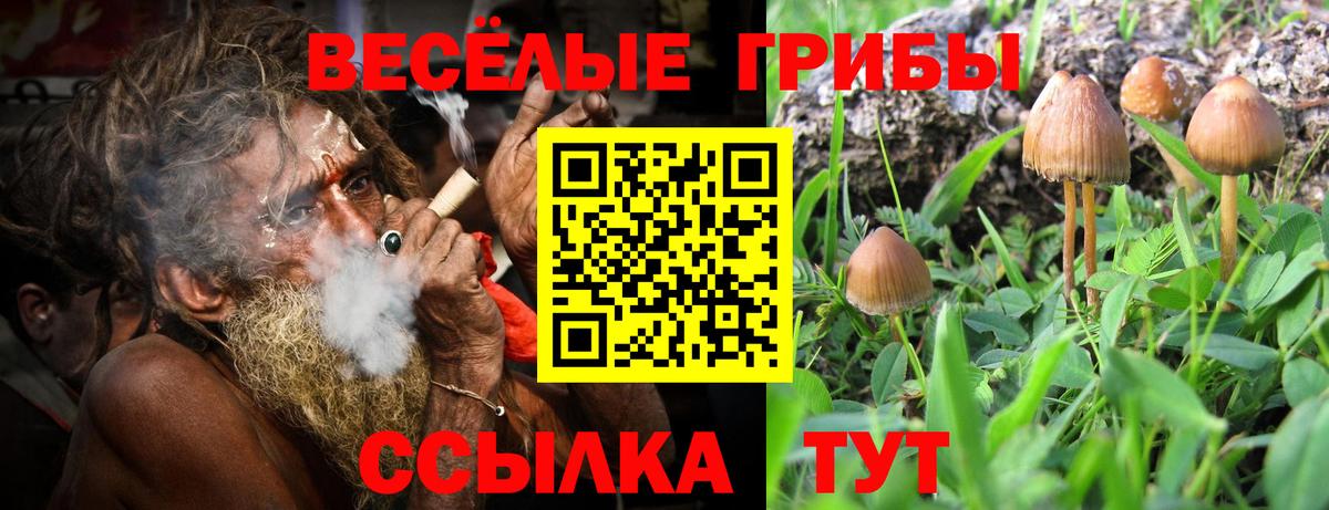 Кокаин  Бошки Шишки  Кокаин  А ПВП СОЛЬ   Меф кристаллы  Вход с VPN  Россия  Гашиш  МДМА 