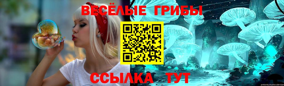 Россия  Галлюциногенные грибы Psilocybe  Вход с VPN 