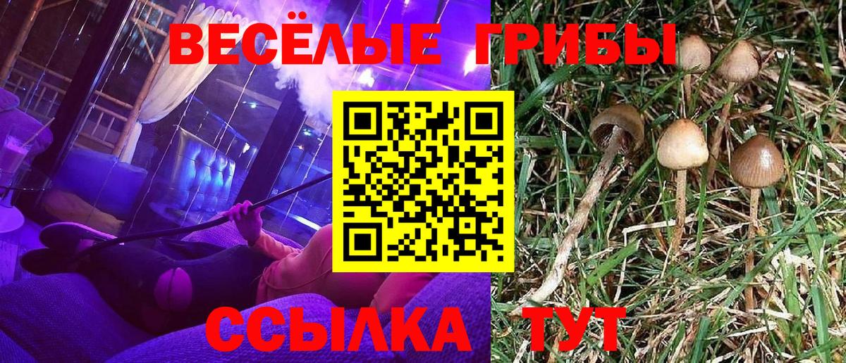 А ПВП Россия