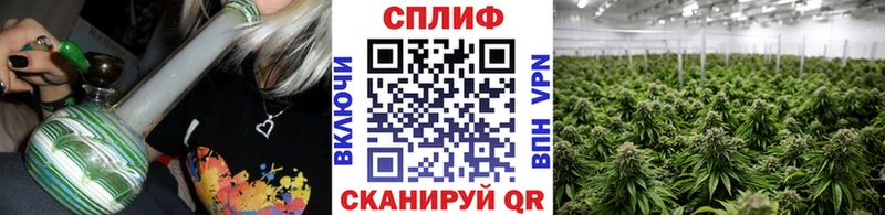 Шишки марихуана Amnesia Красноярск